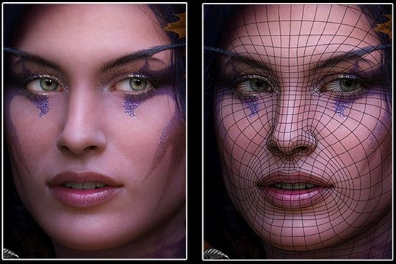 face-topology